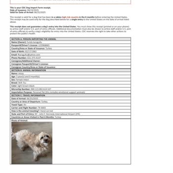 Köpeğimin Dönüş Onayı İçin Belgelerim Yetersiz Görülüyor