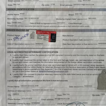 Köpeğimin Dönüş Onayı İçin Belgelerim Yetersiz Görülüyor