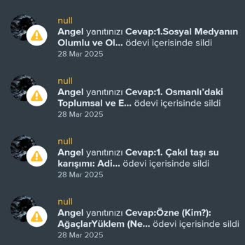 Yanıtlarımın Gerekçesiz Ve Tutarsız Şekilde Silinmesi Nedeniyle Mağduriyet Yaşıyorum