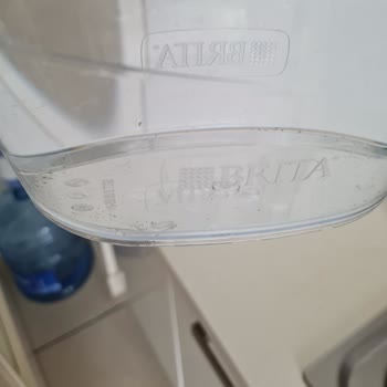 Brita Sürahide Yosunlanma Ve Temizlik Sorunu: Acil Çözüm Bekliyorum