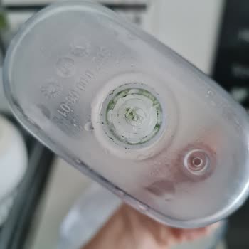 Brita Sürahide Yosunlanma Ve Temizlik Sorunu: Acil Çözüm Bekliyorum