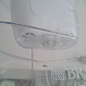 Brita Sürahide Yosunlanma Ve Temizlik Sorunu: Acil Çözüm Bekliyorum