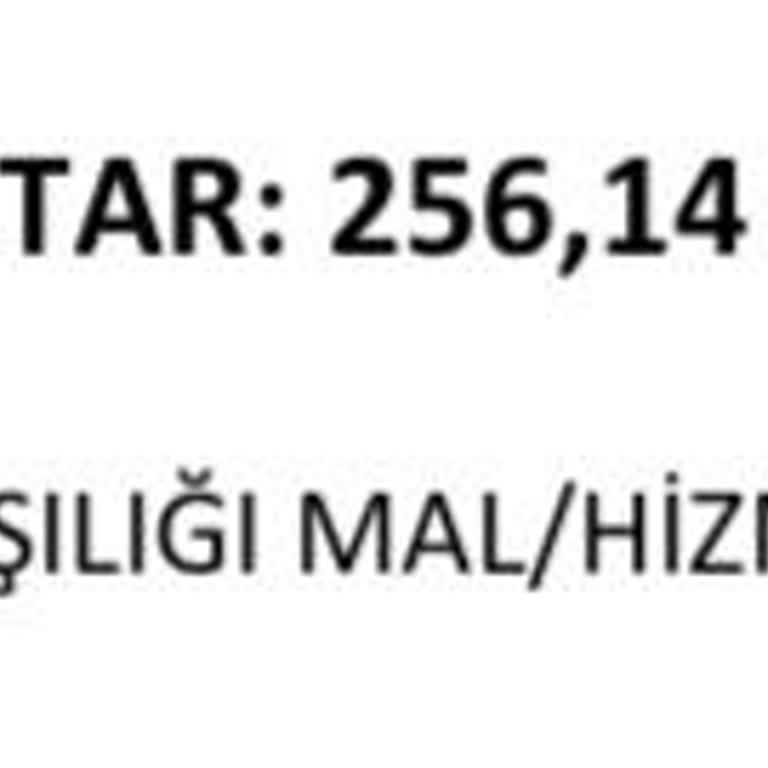 Tek Seferlik Ödeme Sonrası Kart Bilgilerimin Silinememesi Ve Hesap Sorunları