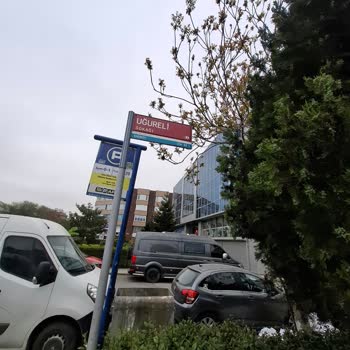 Kadıköy Belediyesi Görevlilerinin Sert Uyarısı Ve Park Yeri Bilgilendirme Eksikliği