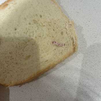 UNO Tost Ekmeğinde Plastik Parça Ve Yetersiz Çözüm