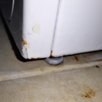 Çamaşır Makinesinde Garanti Kapsamı Belirsizliği Ve Paslanma Sorunu