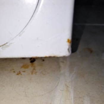 Çamaşır Makinesinde Garanti Kapsamı Belirsizliği Ve Paslanma Sorunu