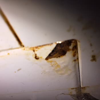 Çamaşır Makinesinde Garanti Kapsamı Belirsizliği Ve Paslanma Sorunu