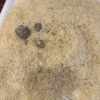 Hasata Basmati Pirinç Paketinden Anlamadığım Yabancı Madde Çıktı!