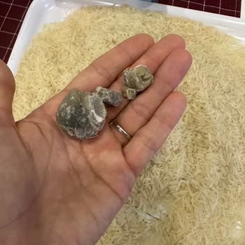 Hasata Basmati Pirinç Paketinden Anlamadığım Yabancı Madde Çıktı!