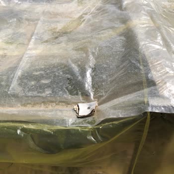 Satın Aldığım Çiçek Tohumları Çimlenmedi, Firma İletişime Geçmedi