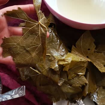 Ayşeli Köy Ürünleri 1 Bidon Yaprak Çöp Oldu