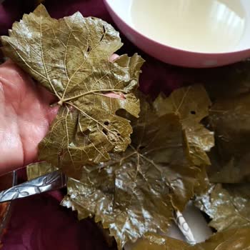 Ayşeli Köy Ürünleri 1 Bidon Yaprak Çöp Oldu