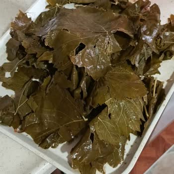 Ayşeli Köy Ürünleri 1 Bidon Yaprak Çöp Oldu