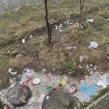 Ardahan Belediyesi Kokudan Ve Görüntüden Çok Rahatsızız