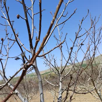 Don Hasarı Sonrası Sigorta Mağduriyeti: Ekspertiz Raporu Ve Mağduriyetimin Giderilmesini Talep Ediyorum