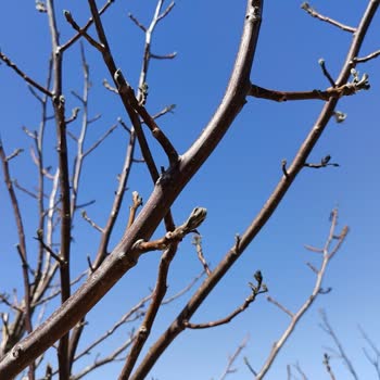 Don Hasarı Sonrası Sigorta Mağduriyeti: Ekspertiz Raporu Ve Mağduriyetimin Giderilmesini Talep Ediyorum