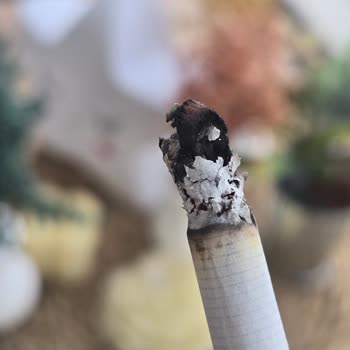 Marlboro Touch Blue Sigaradan Çıkan Otlar Ve İlgisiz Müşteri Hizmeti