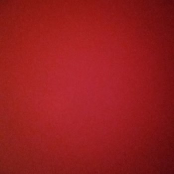 Kozal Hisselerinde Manipülasyon Ve Mağduriyet!