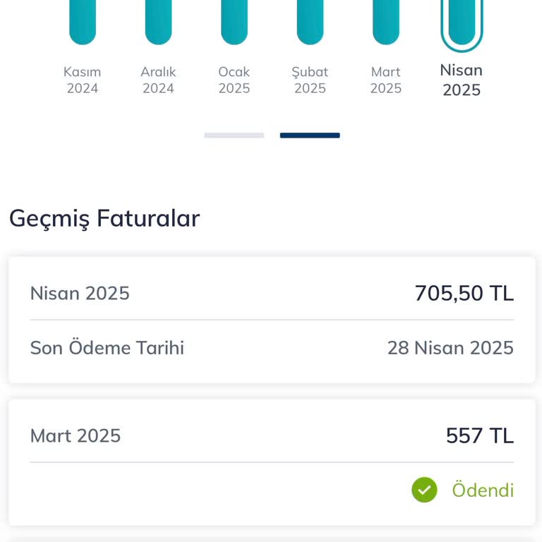 Fatura Tutarı Ve Müşteri Hizmetleri Sorunu