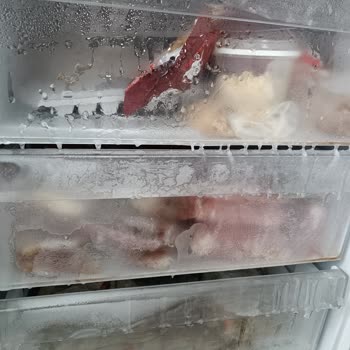 Sürekli Arızalanan Ürün Nedeniyle Maddi Ve Manevi Zarar, Ücretsiz Değişim Talebi