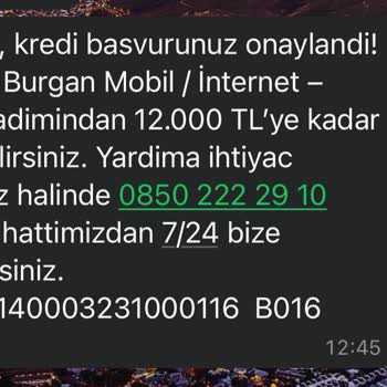 Kredi Başvurusu Sonrası Düşük Limit Ve Hesap Silme Sorunu