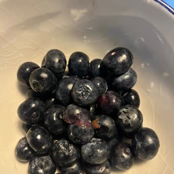 Aldığım Meyveler Ezik Ve Çürük Çıktı Ne Yapabilirim