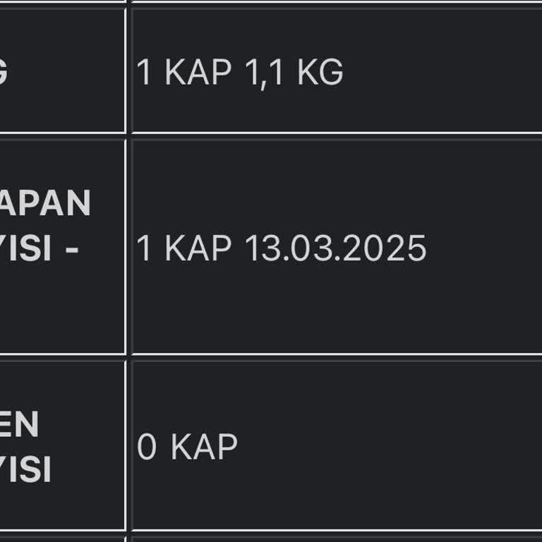 DHL'nin Yüksek Antrepo Ücretleri Ve Beklenmedik Ek Masrafları