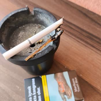 Philip Morris Sigara Paketlerinde Yabancı Madde Sorunu