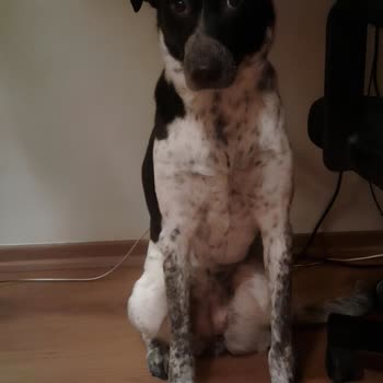 Yanlış Ve Kalitesiz Ürün Gönderimi, Kötü Müşteri Hizmeti