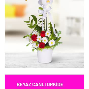 Ödeme Yapıldı, Teslimat Gerçekleşmedi