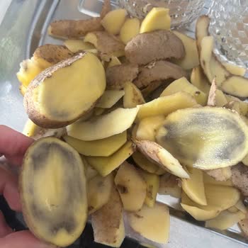 Getir’den Gelen Patatesler Sağlığımızı Tehdit Ediyor!