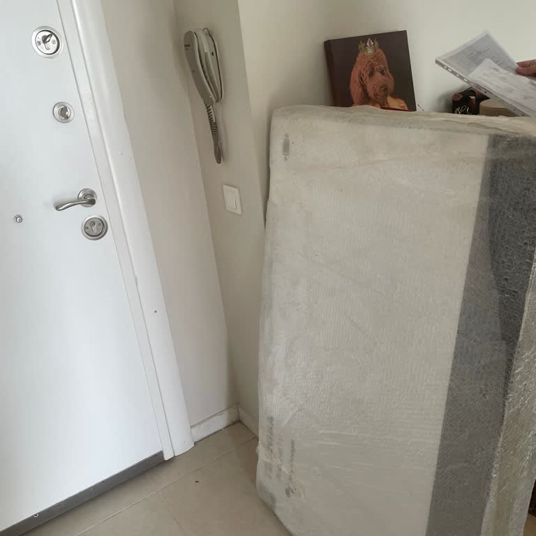 Ceva Logistics Left My Refunded TV Order at My Door Despite My Objection