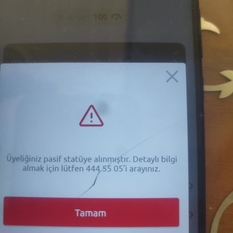 Tiktak Hesabım Pasife Alındı, Yardım Talep Ediyorum