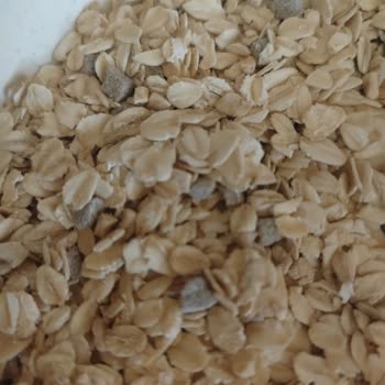 Eti Lifalif Müsli'de Küflü Hurma Şoku