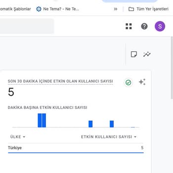 Natro Hosting'de Kurumsal Hizmette Ciddi Erişim Sorunları Ve Yetersiz Destek