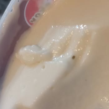 Sakızlı Muhallebi Paketinden Çıkan Yabancı Cisimler Endişe Veriyor