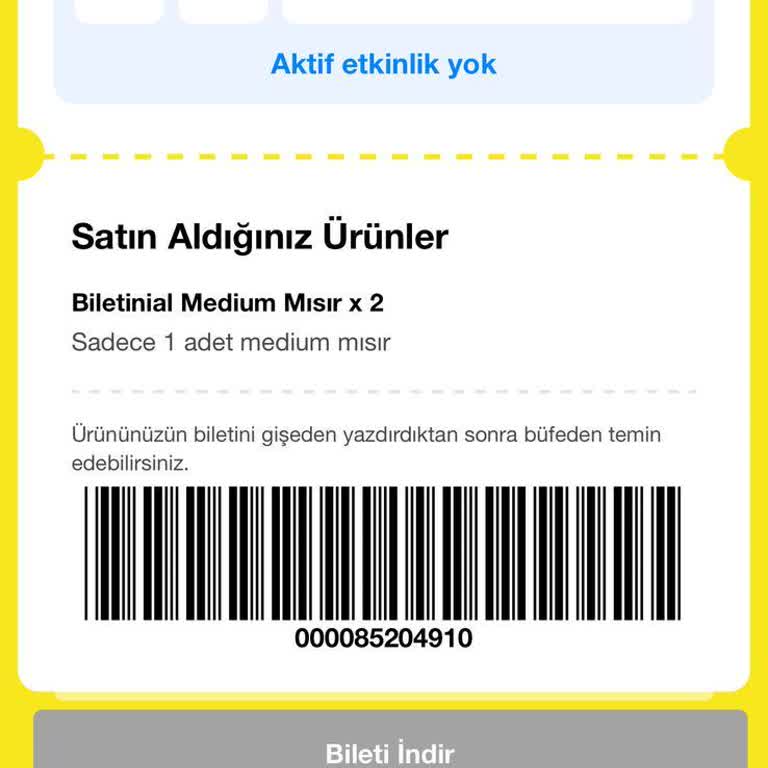 Online Alınan Bilet Ve Mısırda Sıra Bekleme Sorunu