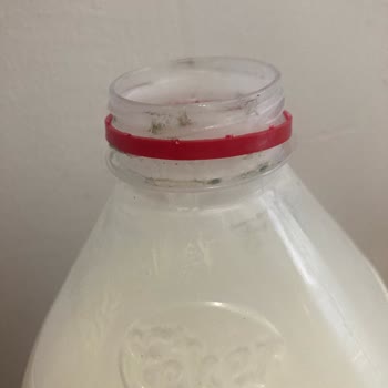 Eker Ayranında Küf Ve Kötü Koku Sorunu Yaşadım