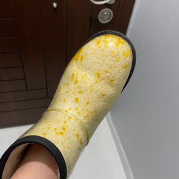 Мои ботинки Ugg: неожиданная проблема после нескольких носок