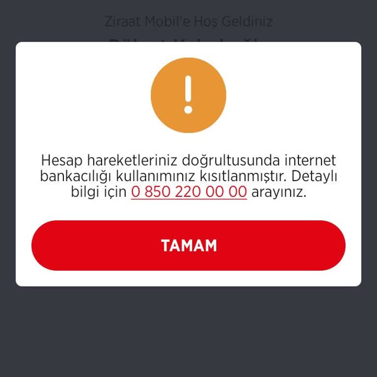Hesabım Kısıtlandı, Ödemelerimi Yapamıyorum