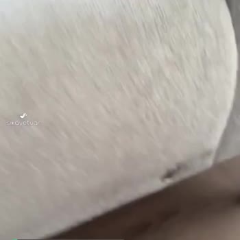 Çok Güveniyordum Bellona’ya Ama Bu Şekilde Beni Yanılttı!