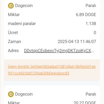 Bitexen Doesn’t Show My Transferred Coins Earned from Survey Apps