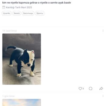 Küçük Yaştaki Kullanıcılara Uygunsuz Davranışlarda Bulunan Hesabın Banlanması Talebi