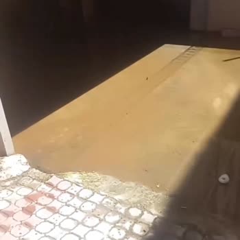 TESKİ Her İki Haftada Bir Binayı Basan Pis Suya Kalıcı Çözüm Bulunmuyor