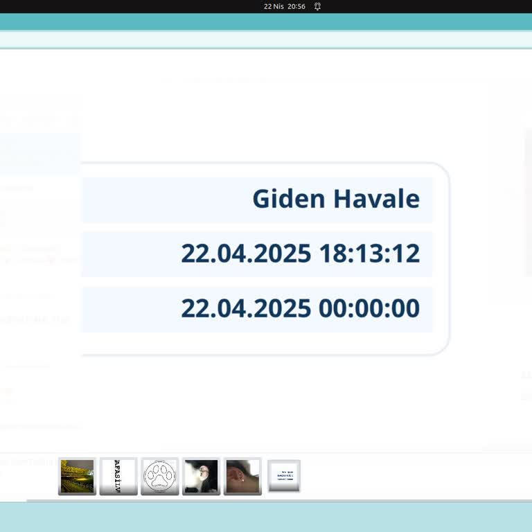 IBAN İle Gönderdiğim Havale Kartıma Geçmedi Acil Çözüm Bekliyorum