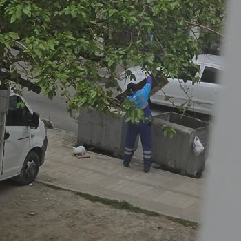 Bağcılar Belediyesi Ölen Kedinin Uygunsuz Şekilde Gömülmesi Ve Saygısız Yaklaşım