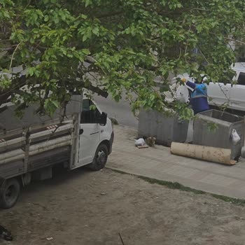 Bağcılar Belediyesi Ölen Kedinin Uygunsuz Şekilde Gömülmesi Ve Saygısız Yaklaşım