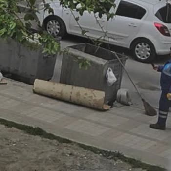 Bağcılar Belediyesi Ölen Kedinin Uygunsuz Şekilde Gömülmesi Ve Saygısız Yaklaşım