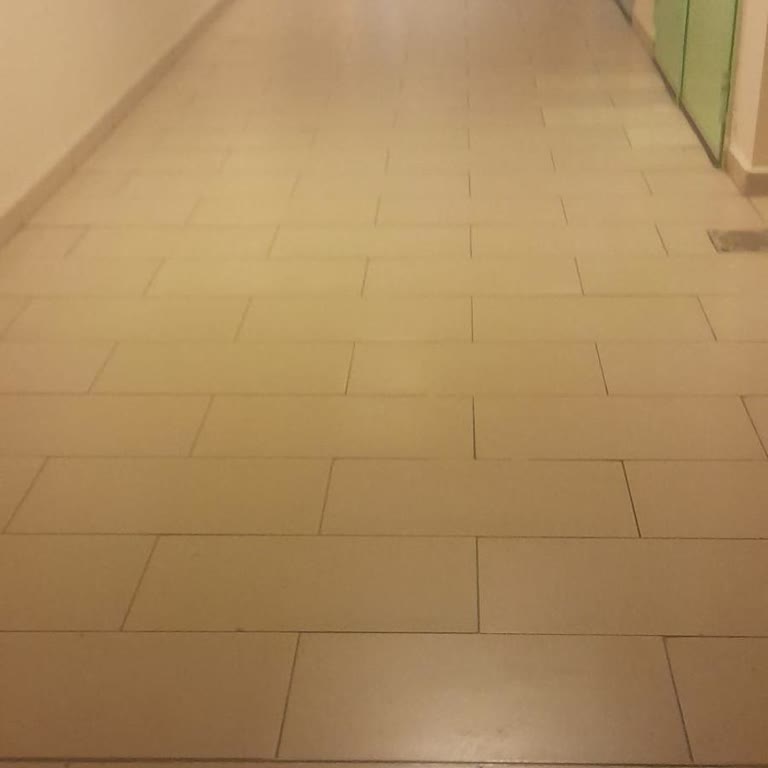 Paribu Müşteri Hizmetlerine Ulaşmak İmkansız